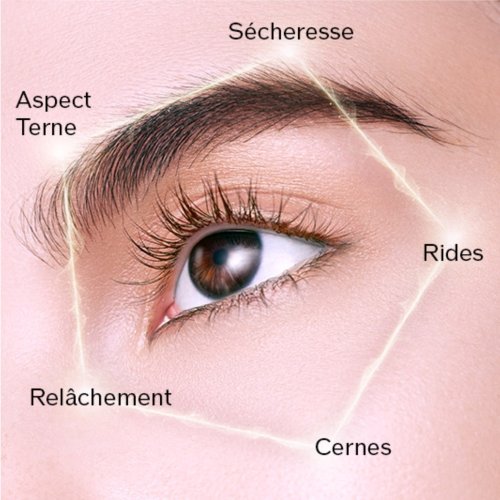 SHISEIDO Future Solution LX - Enmei Crème Yeux Ultime SHISEIDO Future Solution LX - Enmei Crème Yeux Ultime